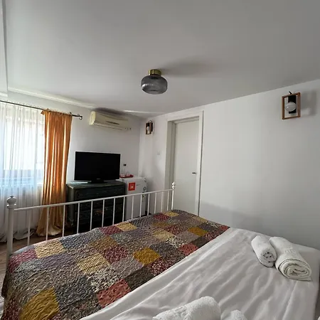 Gasthuis Speranta Pleşcoi